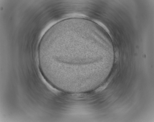 X0000075841391200610151534