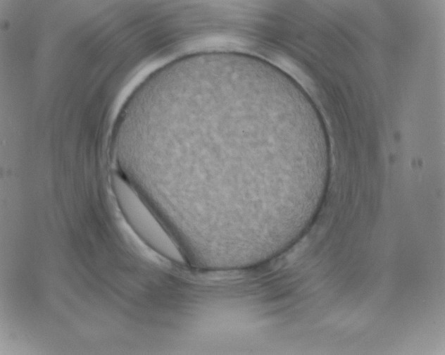 X0000075841392200610151534