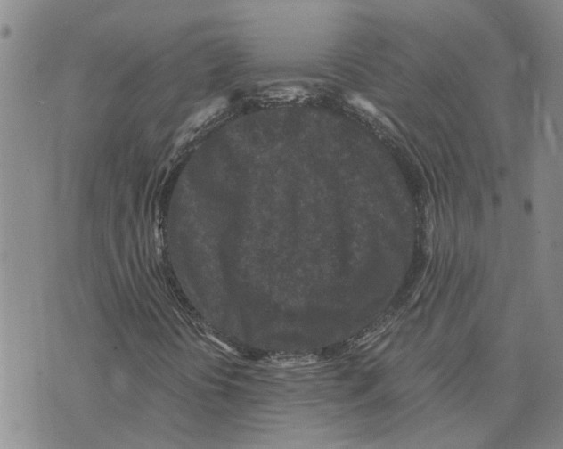 X0000075841394200610151533