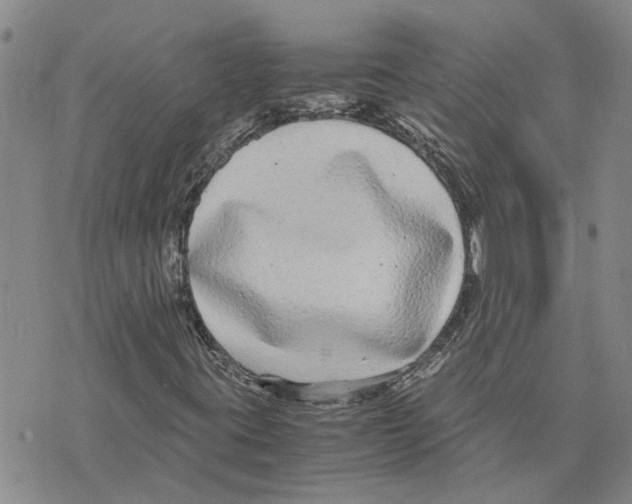 X0000075841395200610151533