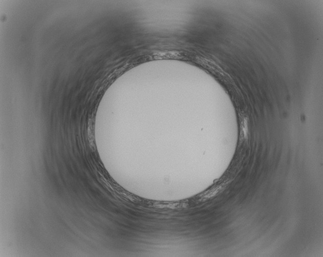 X0000075841396200610151533