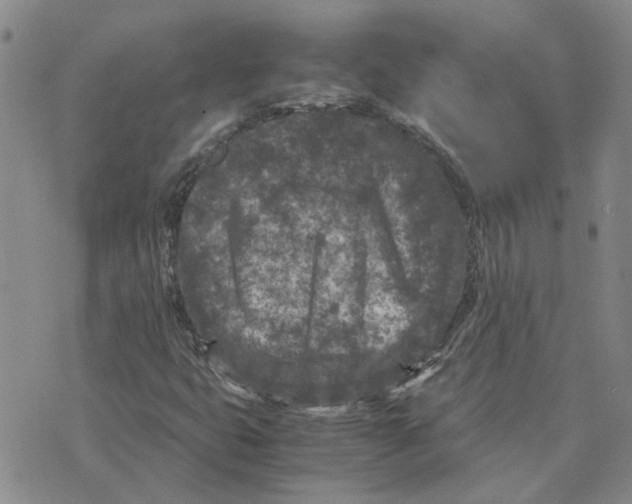 X0000075841399200610151533