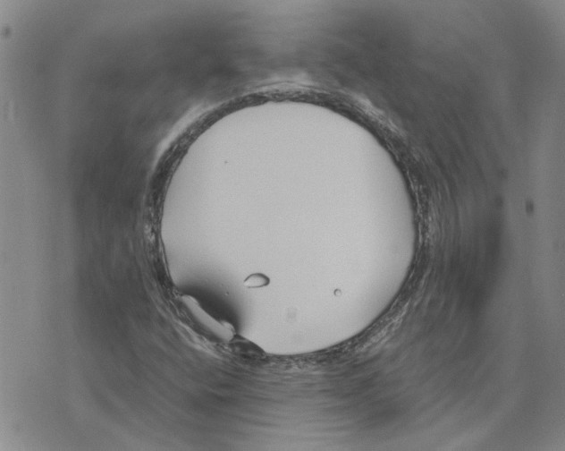 X0000075841400200610151533