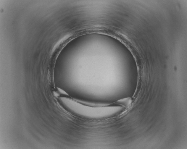 X0000075841402200610151533