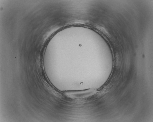 X0000075841404200610151533