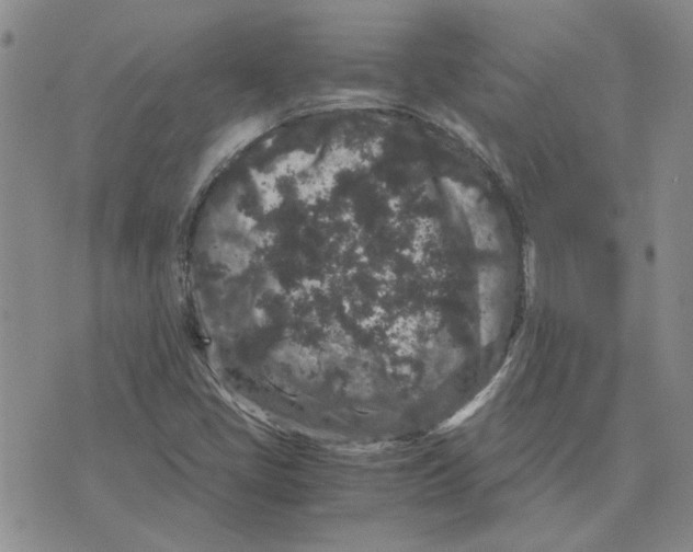 X0000075841405200610151533