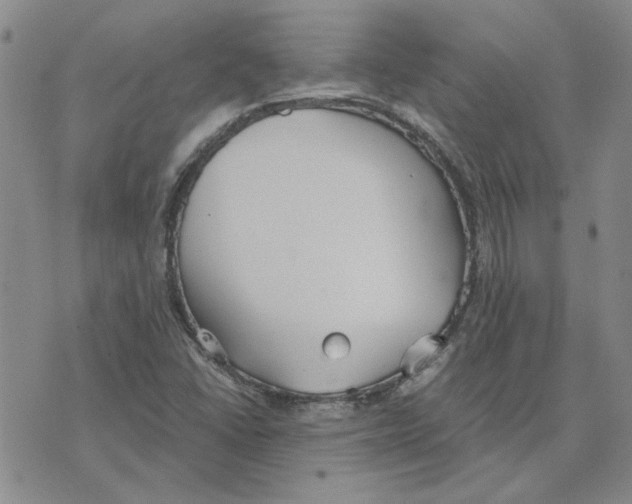 X0000075841406200610151533