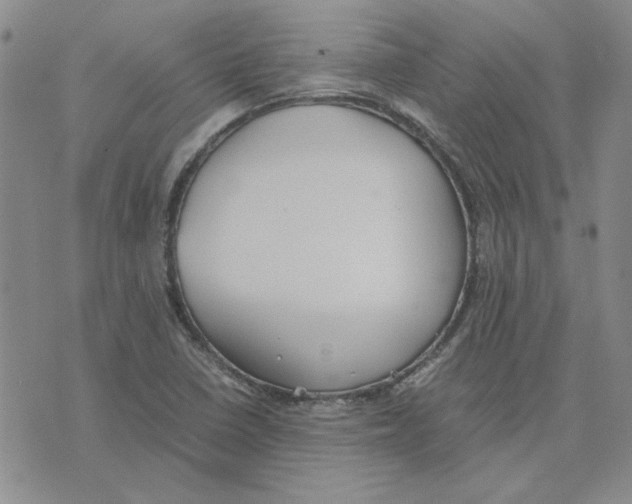 X0000075841410200610151533