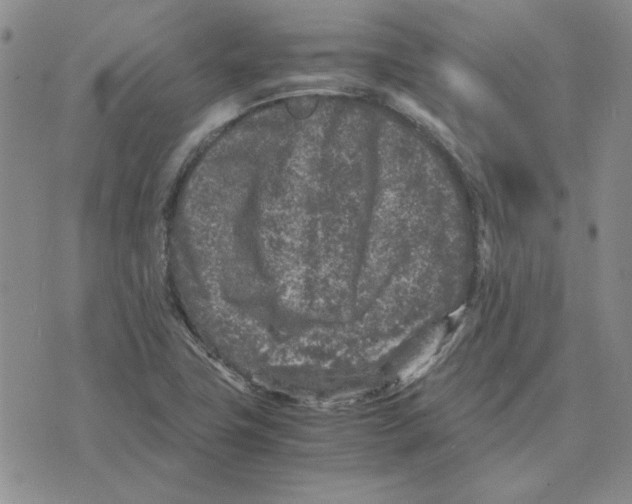 X0000075841411200610151533