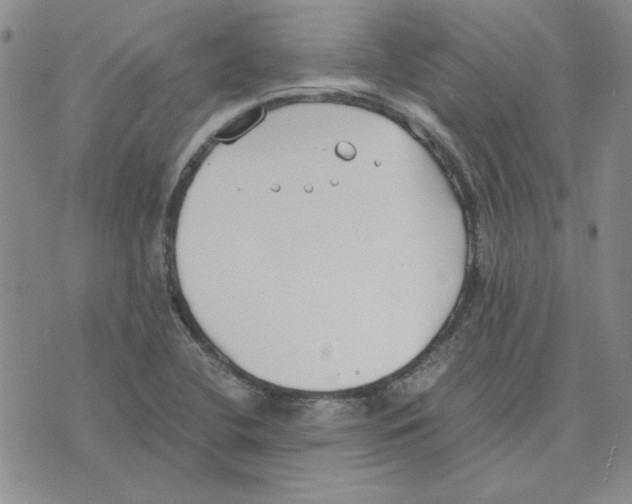 X0000075841412200610151533