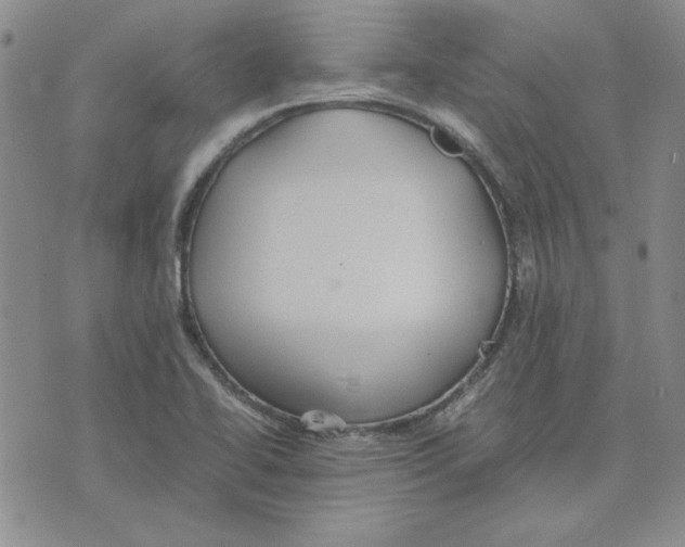 X0000075841414200610151533