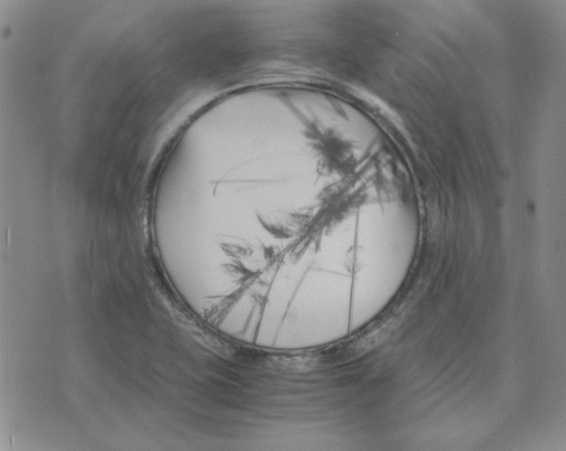 X0000075841415200610151533