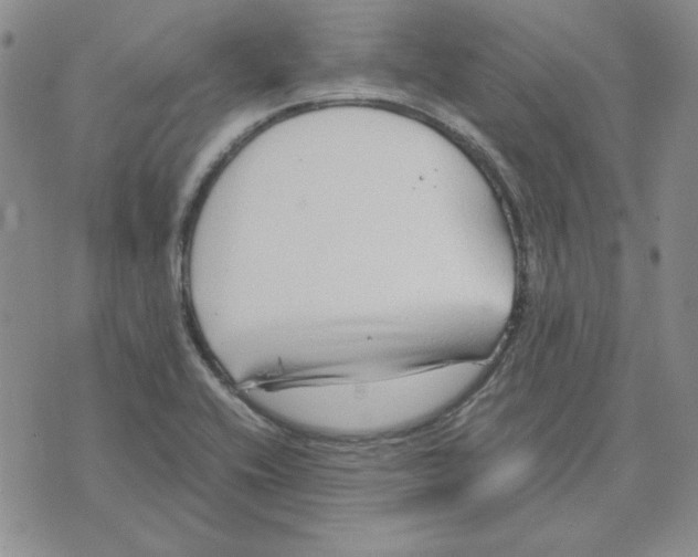 X0000075841416200610151533