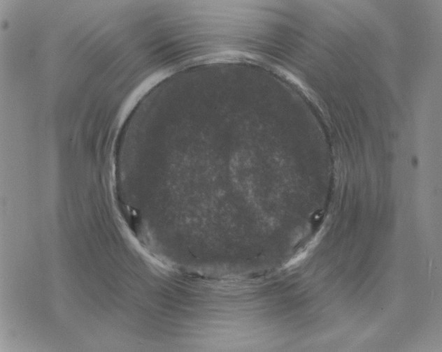 X0000075841418200610151533