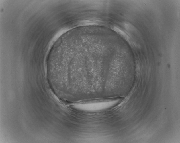 X0000075841419200610151533