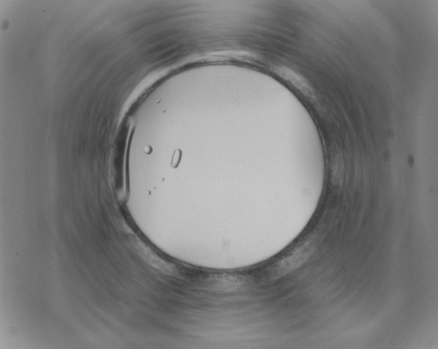 X0000075841420200610151534