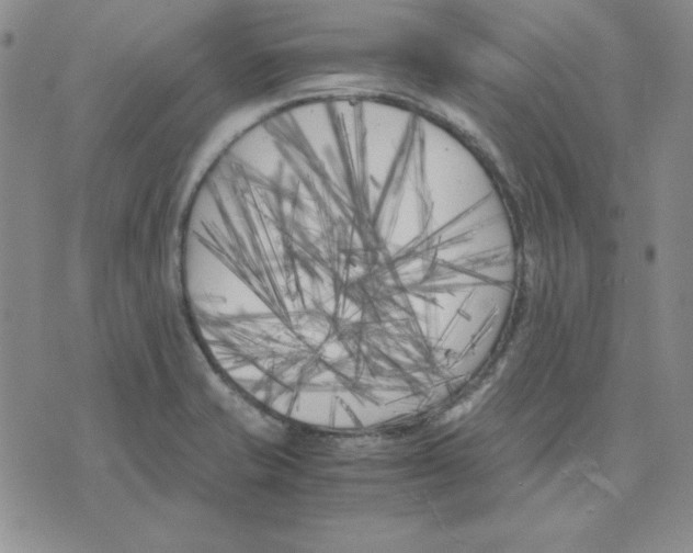 X0000075841421200610151534