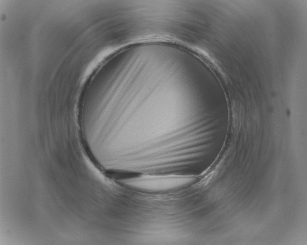 X0000075841422200610151534