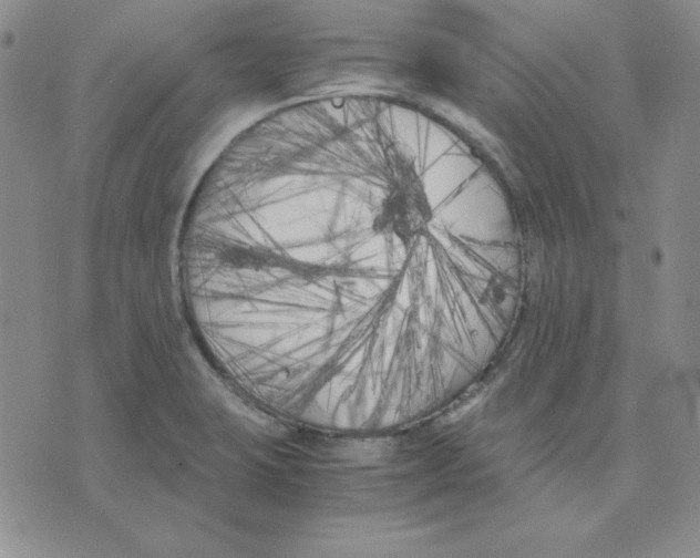 X0000075841423200610151534