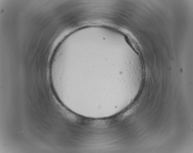 X0000075841424200610151534