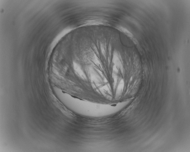 X0000075841427200610151534