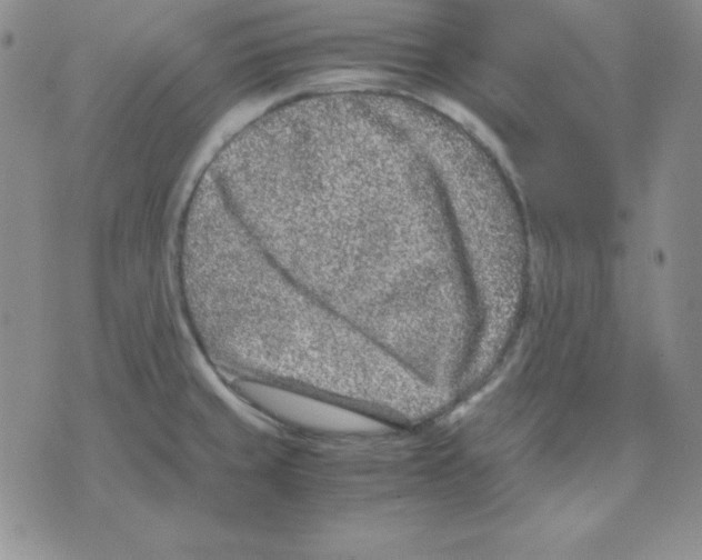 X0000075841429200610151534