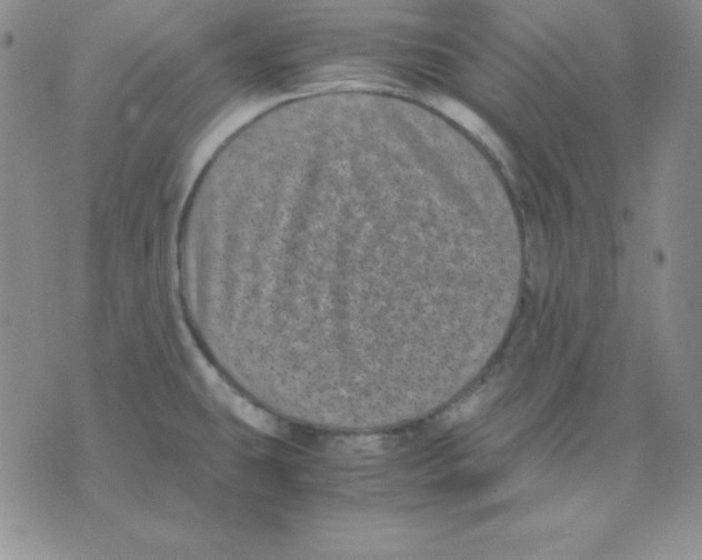 X0000075841431200610151534