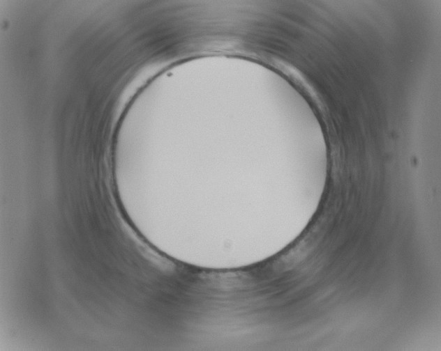 X0000075841432200610151534