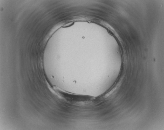 X0000075841433200610151534