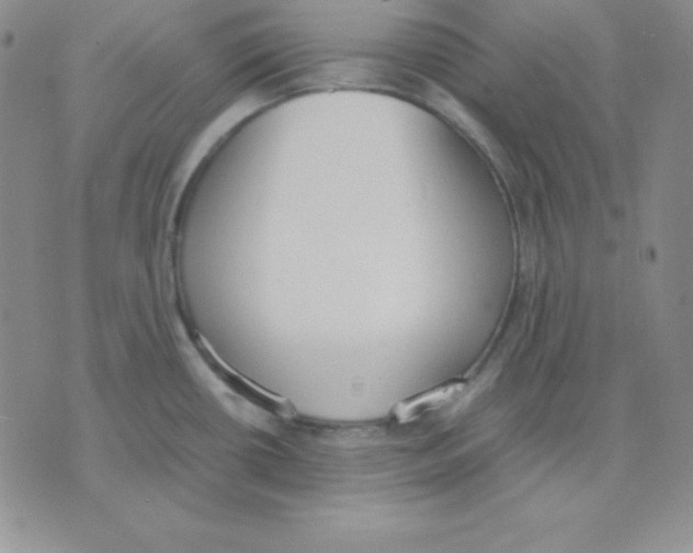 X0000075841434200610151534