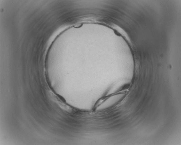 X0000075841435200610151534