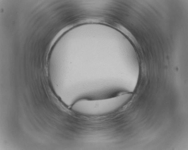 X0000075841436200610151534