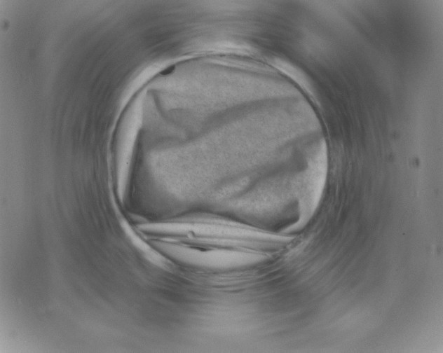 X0000075841439200610151534