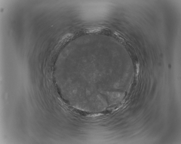 X0000075841441200610151533