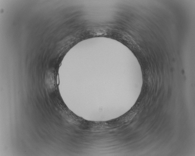 X0000075841442200610151533