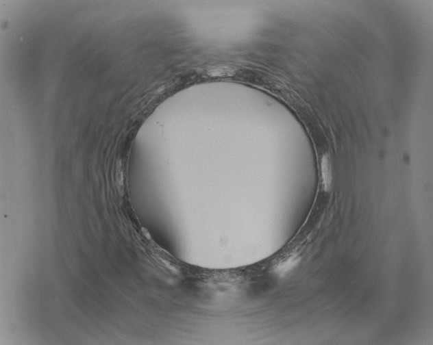 X0000075841443200610151533