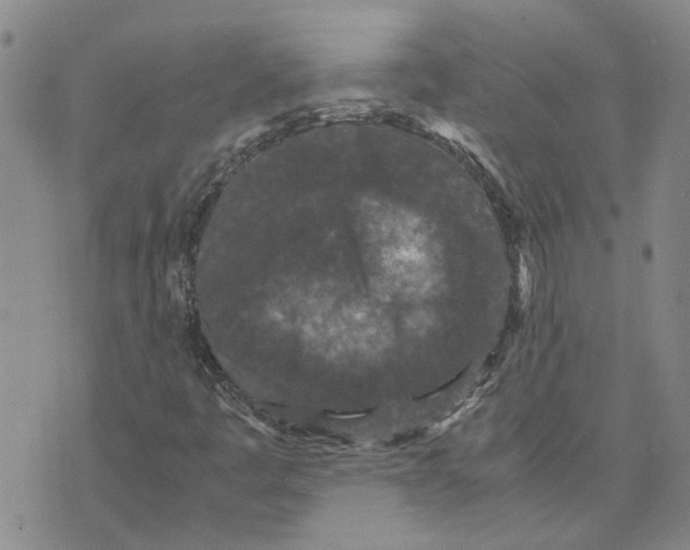 X0000075841445200610151533