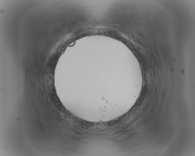 X0000075841447200610151533