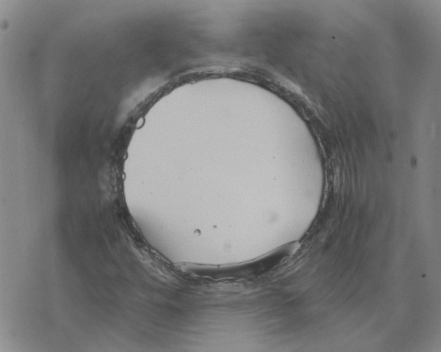 X0000075841448200610151533