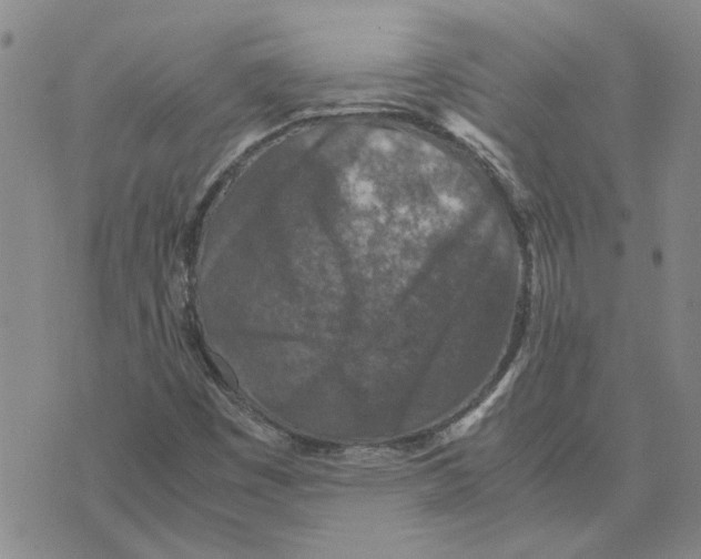 X0000075841449200610151533