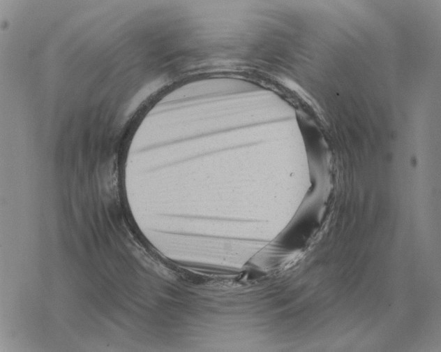 X0000075841450200610151533