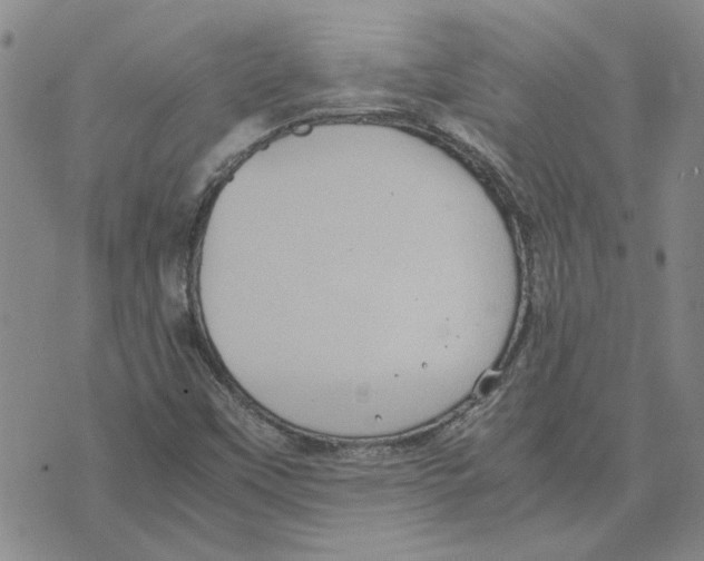 X0000075841451200610151533