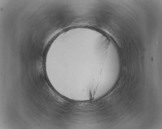 X0000075841452200610151533