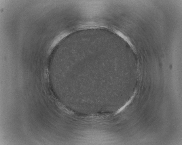 X0000075841453200610151533