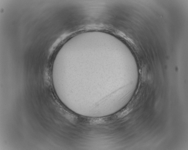 X0000075841454200610151533