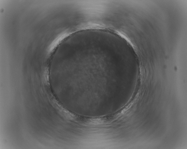 X0000075841455200610151533