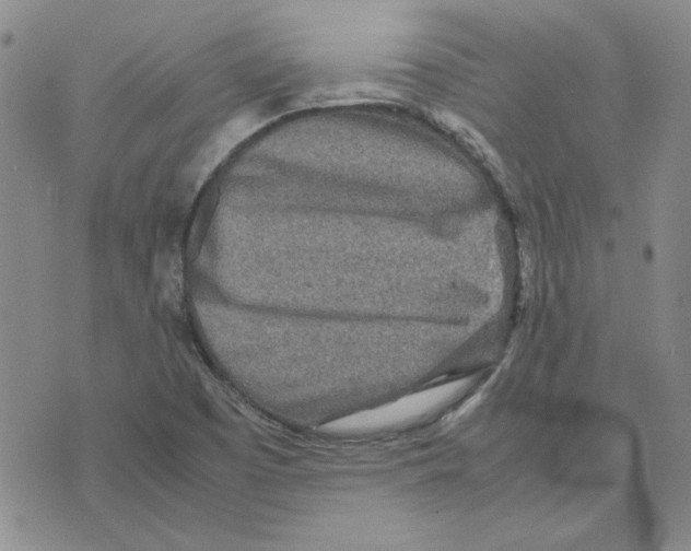 X0000075841457200610151533