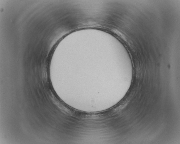 X0000075841458200610151533