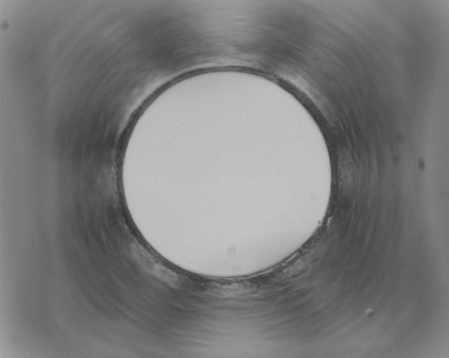 X0000075841460200610151533