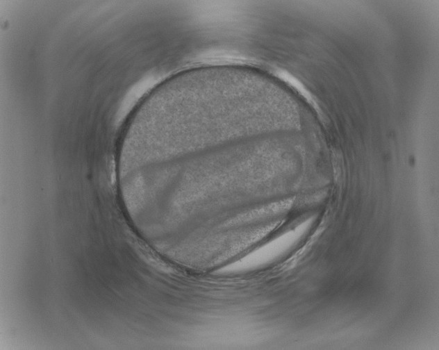 X0000075841461200610151533